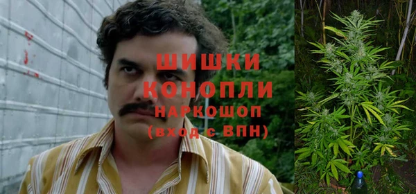 ГАЛЛЮЦИНОГЕННЫЕ ГРИБЫ Алзамай