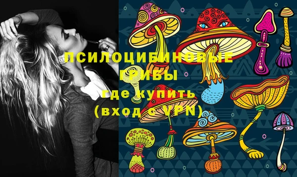 гидропоника Алексеевка