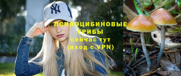 гидропоника Алексеевка